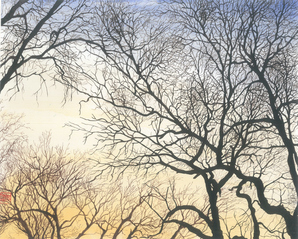 2013级产品设计2班郭旭飚同...