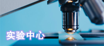 实验中心